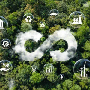 Sustainable Travel 2026: Eco-Friendly Tours, Green Hotels, and Carbon-Smart Planning